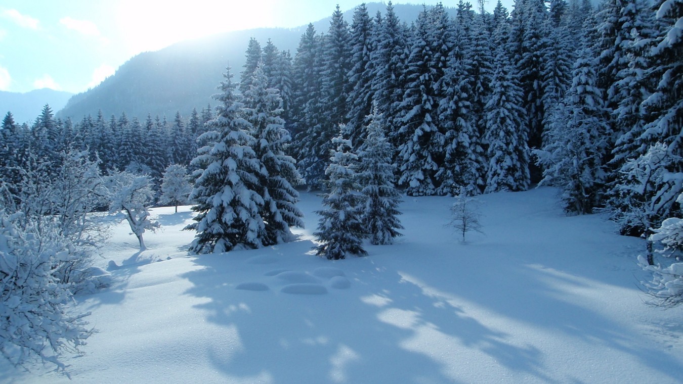 Winterspaß am Wimmergreuth