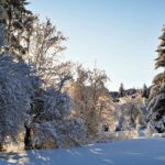 Wimmergreuth im Winter